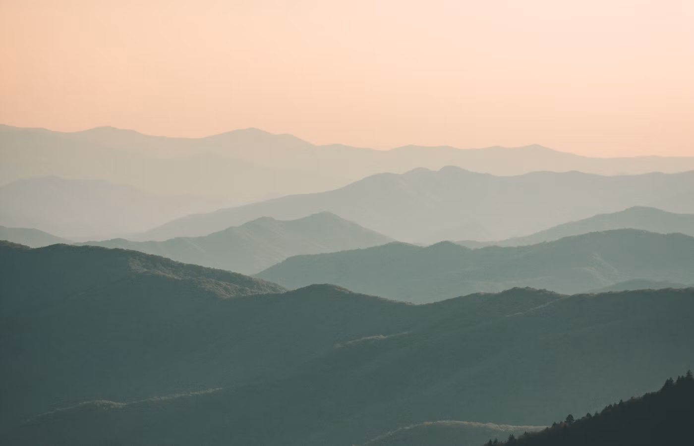 Фокус онлайн в Сочи